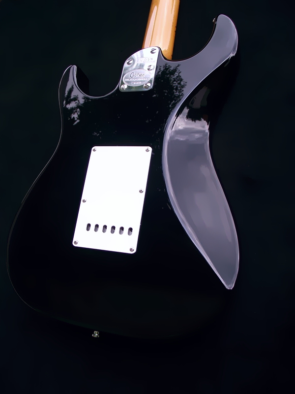 Blackie Stratocaster 07