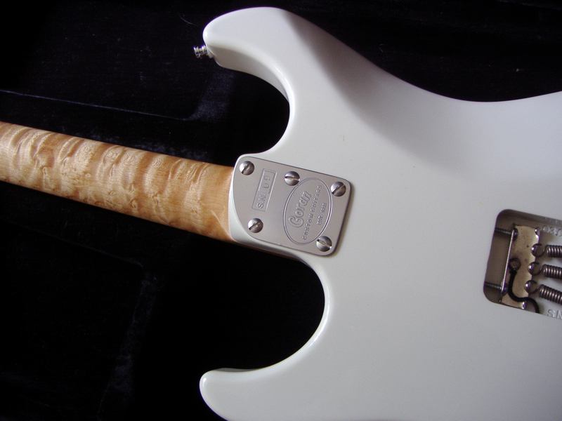 Super Stratocaster 26